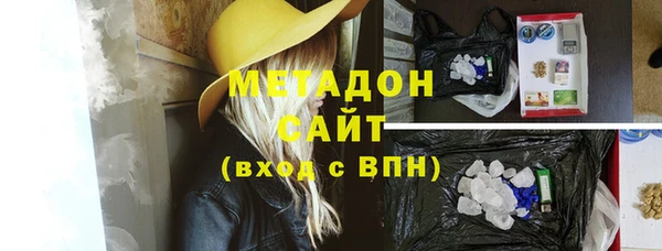 прущие грибы Новозыбков