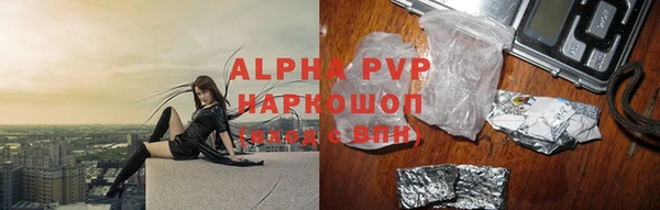 spice Новодвинск
