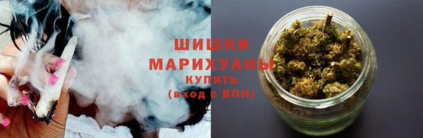 прущие грибы Новозыбков