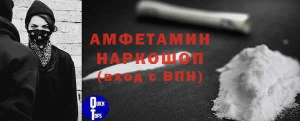 spice Новодвинск