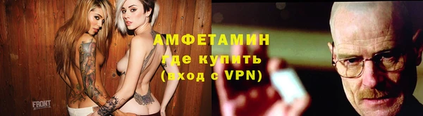 прущие грибы Новозыбков