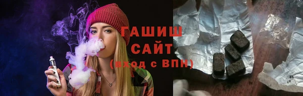прущие грибы Новозыбков