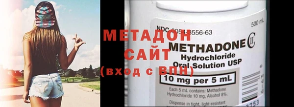 прущие грибы Новозыбков