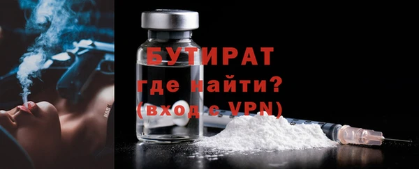 прущие грибы Новозыбков