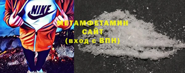 прущие грибы Новозыбков