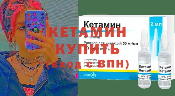 прущие грибы Новозыбков