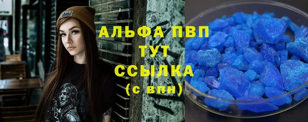 прущие грибы Новозыбков