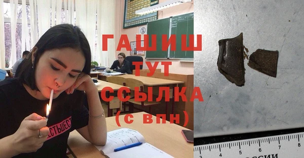 spice Новодвинск