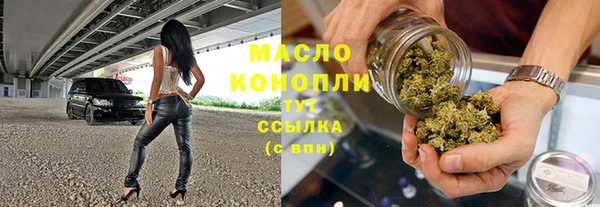 прущие грибы Новозыбков